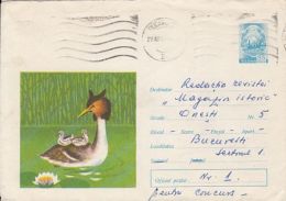 62871- GREAT CRESTED GREBE, BIRDS, COVER STATIONERY, 1973, ROMANIA - Albatros