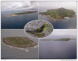 Australia - Tasmanian, Bass Strait Islands: Passage & Forsyth, Mt Chappell, Gull, East Kangaroo Islands - Sonstige & Ohne Zuordnung