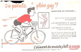 Su L/ Buvard   L'Aliment Du Muscle Lesucre  (N= 2) - Sucreries & Gâteaux