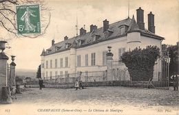 95-CHAMPAGNE-SUR-OISE- LE CHÂTEU DE MINTIGNY - Champagne Sur Oise