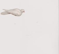 Chromo  Decoupis Animaux  Pigeon Ou Colombe Longueur 6,5 Cm - Animali