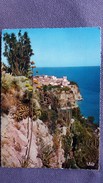 CPSM MONACO LE ROCHER LE MUSEE OCEANOGRAPHIQUE VUS DU JARDIN EXOTIQUE ED LA CIGOGNE 1971 - Oceanographic Museum