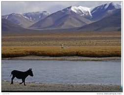 Tajikistan UNESCO - Tajik National Park - Moutains Of Pamirs - Tadschikistan