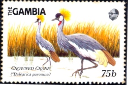 BIRDS-CROWNED CRANES-GAMBIA-NH-H1-443 - Grues Et Gruiformes