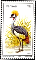 BIRDS-CROWNED CRANES-TRANSKEI-H1-443 - Grues Et Gruiformes