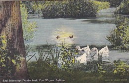 Indiana Fort Wayne Bird Sanctuary Franke Park 1945 Curteich - Fort Wayne