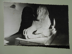 EGYPTE SPHINX EN GRANIT ROSE RETRACANT TRES VRAISEMBLABLEMENT LES TRAITS D'AMENEMHAT II - Sphynx