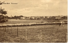 Haut-Bois (Gesves) Panorama - Gesves