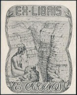 Cca 1930 Ex Libris E. Castanos. Erotikus Ex Libris. Klisé. Jelzés Nélkül. 120x80 Mm - Other & Unclassified