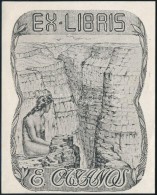 Cca 1930 Ex Libris E. Castanos. Erotikus Ex Libris. Klisé. Jelzés Nélkül. 120x80 Mm - Otros & Sin Clasificación