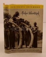 Széchényi Zsigmond: Afrikai Tábortüzek. Vadásznapló Kivonatok 1932-1934.... - Sin Clasificación