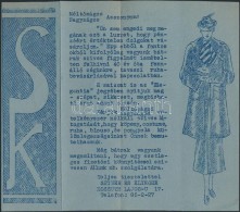 Cca 1930 Bp. V. Reklámnyomtatvány: Seiner és Klinger Ruhaüzlet - Sin Clasificación