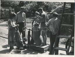 Cca 1950 Körmendy Imre: MérkÅ‘zés. Vintage Fotó A SzerzÅ‘... - Otros & Sin Clasificación