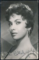 Gina Lollobrigida (1927-) SzínésznÅ‘ Aláírt Fotója, Kis Beszakadással,... - Otros & Sin Clasificación