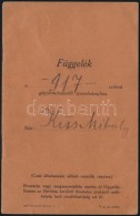 1929 GépjármÅ±vezetÅ‘i Igazolvány Függeléke, Bejegyzésekkel - Non Classificati