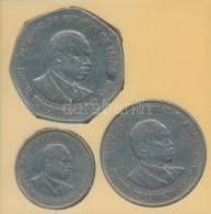 Kenya 1980. 50c + 1Sh + 1985. 5Sh Plasztiktokban T:2,2-
Kenya 1980. 50 Cents + 1 Shilling + 1985. 5 Shilling In... - Unclassified