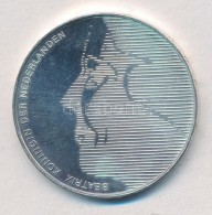 Hollandia 1984. 50G Ag '400 éve Halt Meg Orániai Vilmos' T:2(P)
Netherlands 1984. 50 Gulden Ag '400th... - Unclassified