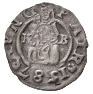 1587K-B Denár Ag 'Rudolf' (0,48g) T:2
1587K-B Denar Ag 'Rudolf' (0,48g) C:XF
Huszár: 1059., Unger... - Unclassified