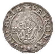 1563K-B Denár Ag 'I. Ferdinánd' (0,43g) T:2
1563K-B Denar Ag 'Ferdinand I' (0,43g)... - Non Classés