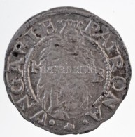 1560K-B Denár Ag 'I. Ferdinánd' (0,49g) T:1-,2
Hungary 1560K-B Denar Ag 'Ferdinand I' (0,49g)... - Unclassified