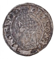 1554N-C Denár Ag 'I. Ferdinánd' (0,54g) T:2 Patina
Hungary 1554N-C Denar Ag 'Ferdinand I' (0,54g)... - Ohne Zuordnung