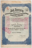 Belgium / Antwerpen 1924. 'La Lowa Société Anonyme D'Importation & D'Exportation Au Congo Belge... - Sin Clasificación