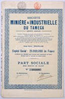Belgium / Brüsszel 1923. 'Tamegai Bányász és Ipari... - Sin Clasificación