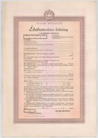 ~1970. 'Állami Biztosító - Életbiztosítási Kötvény A... - Sin Clasificación