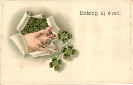 T3 Boldog Új Évet! / New Year, Pig With Clovers, Emb. Litho (fa) - Ohne Zuordnung