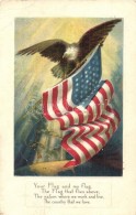 * T3 Your Flag And My Flag. / Amerian Flag With Eagle, Patriotic Propaganda Art Postcard. Flag Series No. 4. Litho... - Non Classificati