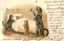 T2 Cats In The Bed, Litho - Unclassified