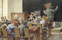 ** T2/T3 Cat School. T.S.N. Serie 1880. S: Arthur Thiele  (fl) - Non Classés