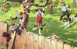 T2/T3 Apple Thief Cats. Colorprint B. Special 2258/3. (EK) - Ohne Zuordnung