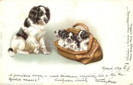 T4 1899 Dogs Litho (EM) - Unclassified