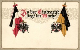 ** T1 In Der Eintracht Liegt Die Macht / Viribus Unitis WWI Propaganda Emb. Litho - Sin Clasificación