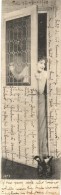 T2/T3 Lady At The Door, Gently Erotic Mini Postcard (14 Cm X 4,3 Cm) (EK) - Ohne Zuordnung