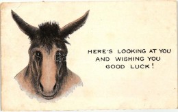 T3 Here's Looking At You And Wishing You Good Luck! / Donkey  (EB) - Unclassified