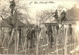 * T2/T3 Marcali, A Kis Fészek Télen, Kerti Munkák. Photo (EK) - Sin Clasificación