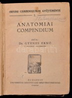 Dr. Gyenes ErnÅ‘: Anatomiai Compendium. Orvosi Compendiumok GyÅ±jteménye. Bp., é.n., Universitas.... - Sin Clasificación