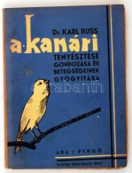 Russ, Karl: A Kanári Gondozása, Tenyésztése és Betegségeinek... - Non Classificati