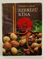 Terebess Gábor: EzerízÅ± Kína. Bp., 1986, Helikon. Kartonált... - Non Classificati