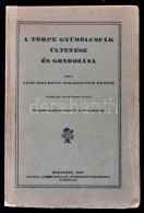 Gróf Széchenyi-Wolkenstein ErnÅ‘né: A Törpe Gyümölcsfák... - Sin Clasificación