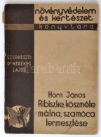 Horn János: Ribizke, Köszméte, Málna, Szamóca, Termesztése.... - Sin Clasificación