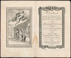 1789 A 'Handbuch Aller Unter Der Regierung Des Kaisers Joseph II ...' CímÅ± Könyv (Bécs, Johann... - Estampas & Grabados