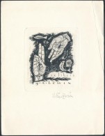 Win Zviers (1922-): Ex Libris G. A. Lewin.. Rézkarc, Papír, Jelzett  / Etched Bookplate, 8x9cm - Other & Unclassified