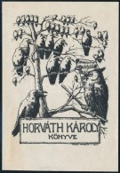 Nagy Sándor (1869-1950): Horváth Károly Könyve, Ex Libris, Klisé, Papír,... - Other & Unclassified