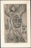 Miroslav Matouš (1920-1998): Ex Libris Hlavacek. Rézkarc, Papír, Jelzett, 13×7,5 Cm - Other & Unclassified