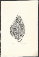 Gyarmati Lea (1938-): Levél. Rézkarc, Papír, Jelzett, 7.5×5 Cm - Otros & Sin Clasificación