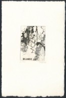 Gyarmati Lea (1938-): Ex Libris. Rézkarc, Papír, Jelzett, 7×5 Cm - Other & Unclassified