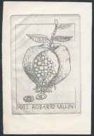 P. L. Gerosa (?-?): Numizmatikai Ex Libris, Dott. Roberto Callini. Rézkarc, Papír,  Jelzett A... - Other & Unclassified